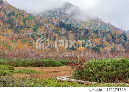 秋の長野県小谷村　紅葉の栂池高原　栂池自然園 122374739