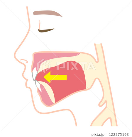 下がっている舌の位置 122375198