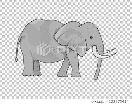 非洲五大野生動物:長牙象 非洲五大野生動物:長牙象 122375414