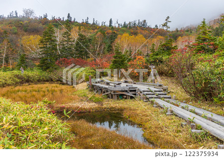 秋の長野県小谷村　紅葉の栂池高原　栂池自然園 122375934