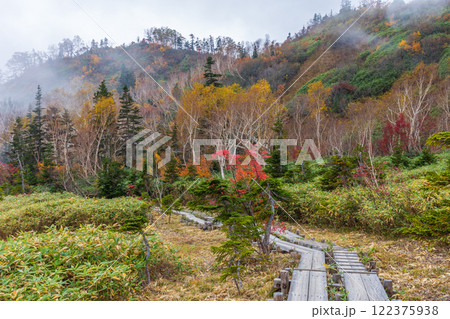 秋の長野県小谷村 紅葉の栂池高原 栂池自然園 秋の長野県小谷村 紅葉の栂池高原 栂池自然園 122375938