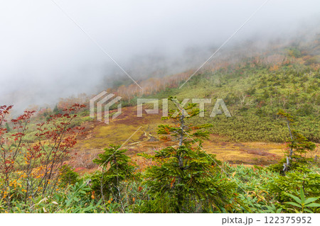 秋の長野県小谷村 紅葉の栂池高原 栂池自然園 秋の長野県小谷村 紅葉の栂池高原 栂池自然園 122375952