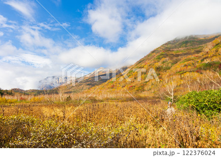秋の長野県小谷村　紅葉の栂池高原　栂池自然園 122376024