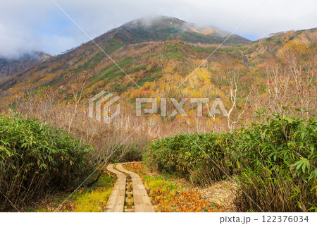 秋の長野県小谷村　紅葉の栂池高原　栂池自然園 122376034