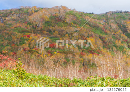 秋の長野県小谷村　紅葉の栂池高原　栂池自然園 122376035