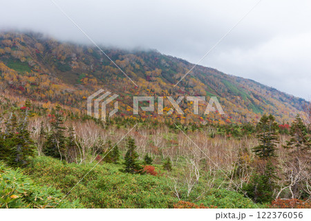 秋の長野県小谷村　紅葉の栂池高原　栂池自然園 122376056