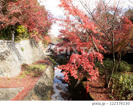 新潟 紅葉 中野邸 泉恵園 新潟 紅葉 中野邸 泉恵園 122376130