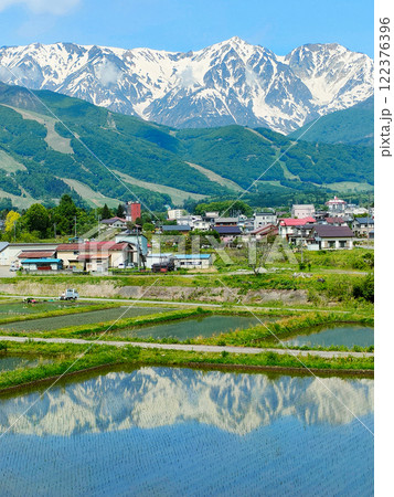 白馬三山を映す水田 122376396