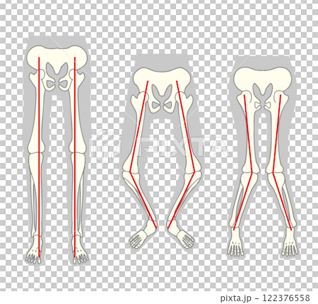 Foot skeleton vector 122376558