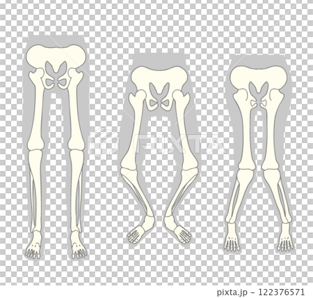 足部骨骼 足部骨骼 122376571