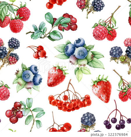 Fresh berries seamless pattern. Hand drawn blueberry, raspberry, strawberry, blackberry fresh fruit on white background. Fresh bright garden berries vintage style illustration seamless pattern. Fresh berries seamless pattern. Hand drawn blueberry, raspberry, strawberry, blackberry fresh fruit on white background. Fresh bright garden berries vintage style illustration seamless pattern. 122376984