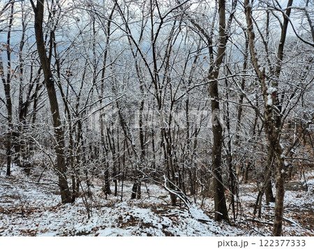 white snow 122377333