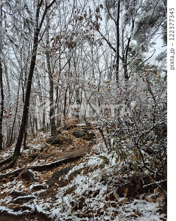 white snow white snow 122377345