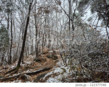 white snow white snow 122377346