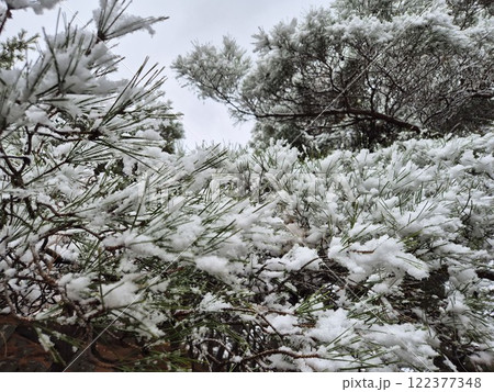 white snow white snow 122377348