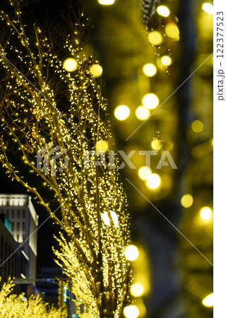 イルミネーションが輝くイルミネーション 122377523