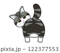 振り返る猫 122377553