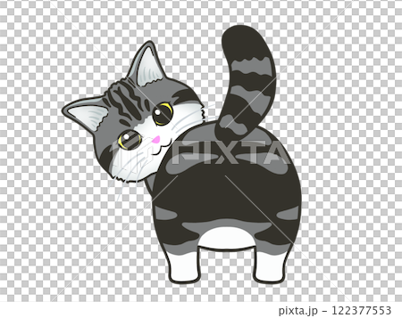 振り返る猫 122377553
