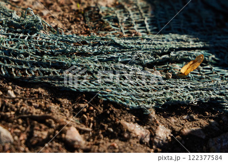 A CloseUp View of Green Garden Netting Spread Out on Soil in a Lush Environment 122377584