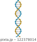 DNA二重らせん構造 122378014