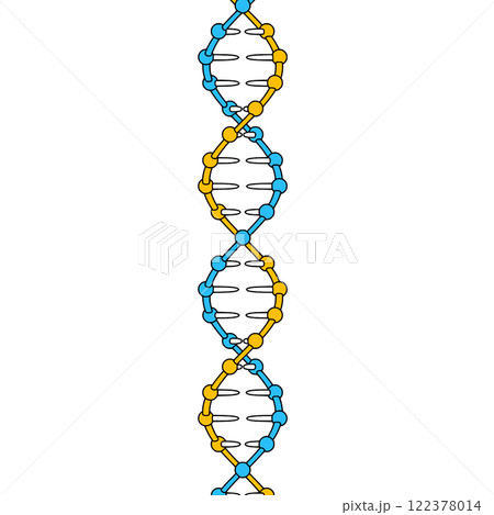 DNA二重らせん構造 122378014