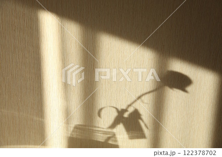 shadow on the wall from the flower of the rose 122378702