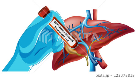Medical Blood Test and Liver Illustration Medical Blood Test and Liver Illustration 122378818