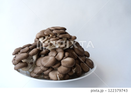 霜降りひらたけ - 3:2 122379743