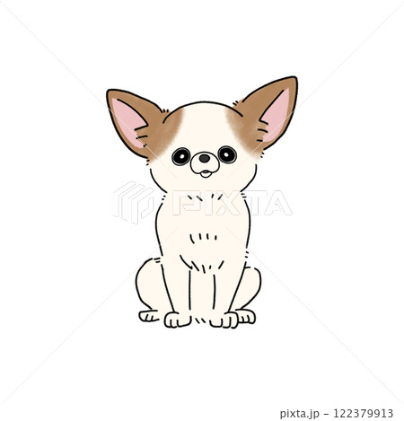 スムースチワワ(ホワイトブラウン) スムースチワワ(ホワイトブラウン) 122379913