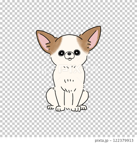 光滑吉娃娃（白棕色） 122379913