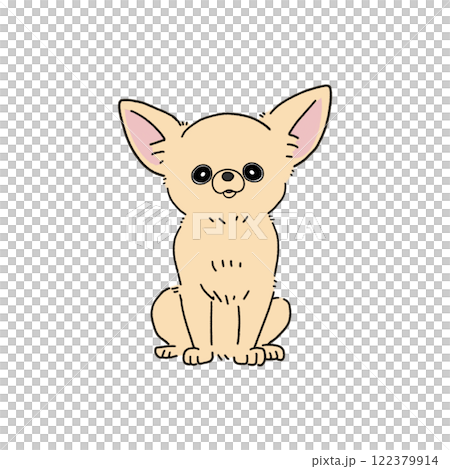 光滑吉娃娃(奶油色) 光滑吉娃娃(奶油色) 122379914