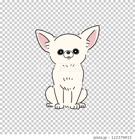 光滑吉娃娃(白色) 光滑吉娃娃(白色) 122379915