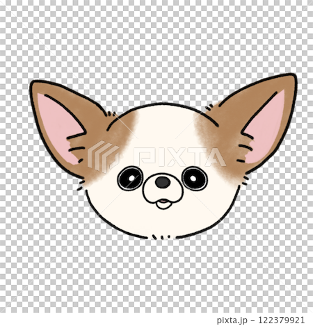 光滑的吉娃娃臉(白棕色) 光滑的吉娃娃臉(白棕色) 122379921