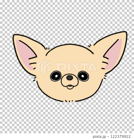 光滑的吉娃娃臉(奶油色) 光滑的吉娃娃臉(奶油色) 122379922