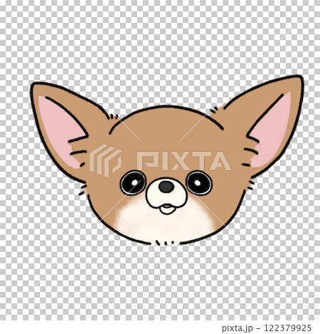 Smooth Chihuahua Face (Brown White) 122379925