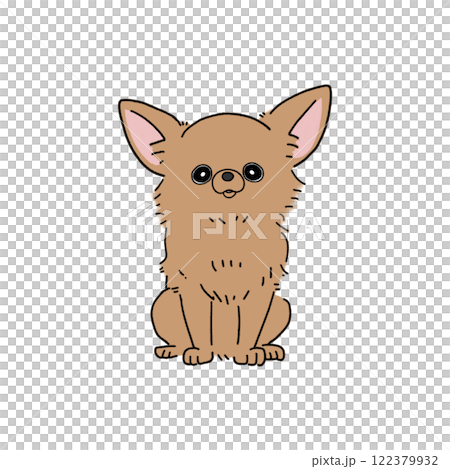 Long Coat Chihuahua (Brown) 122379932