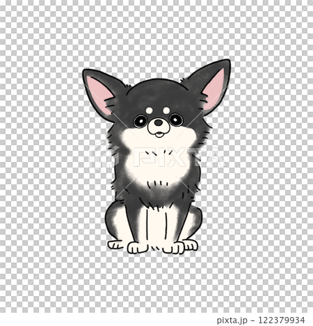 長外套吉娃娃(黑白) 長外套吉娃娃(黑白) 122379934