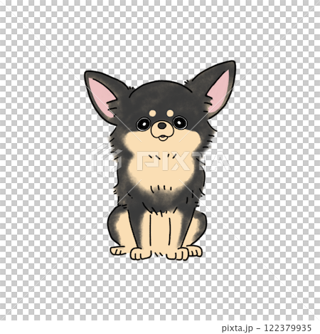 長外套吉娃娃(黑棕褐色) 長外套吉娃娃(黑棕褐色) 122379935