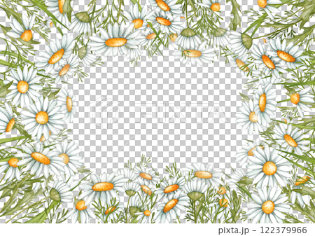 Daisy border. Hand drawn frame illustration of chamomile flowers. Hand painted summer rustic wildflowers. 122379966