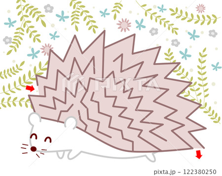 ハリネズミの迷路 122380250