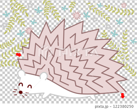 ハリネズミの迷路 122380250