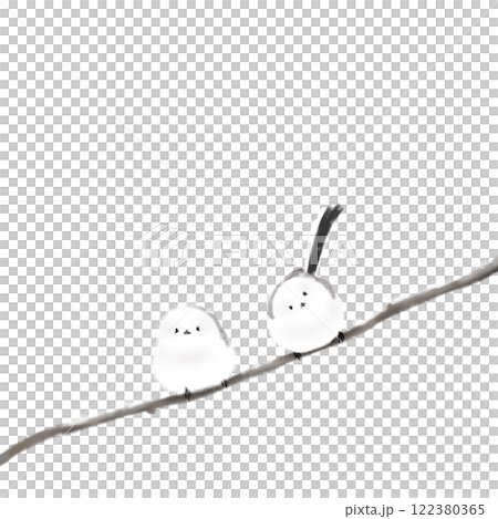 2羽のシマエナガ 122380365