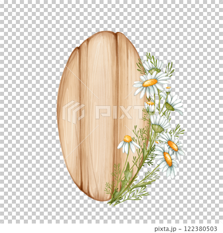 Wooden signboard with daisy flowers. Signs with place for messages. 122380503