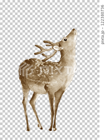 水彩で描いた上を向く若い雄鹿【手描き】イラスト素材 白バック 透過背景 コピースペースあり 122380736