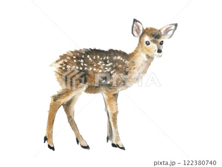 水彩で描いた小鹿【手描き】イラスト素材 白バック 透過背景 コピースペースあり 水彩で描いた小鹿【手描き】イラスト素材 白バック 透過背景 コピースペースあり 122380740