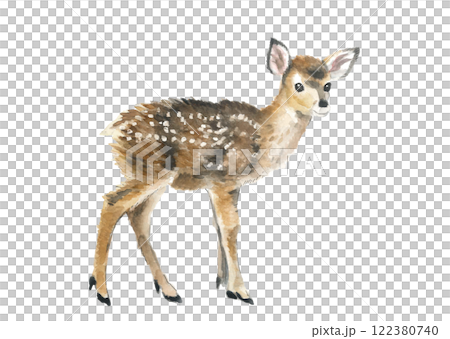 水彩で描いた小鹿【手描き】イラスト素材 白バック 透過背景 コピースペースあり 水彩で描いた小鹿【手描き】イラスト素材 白バック 透過背景 コピースペースあり 122380740