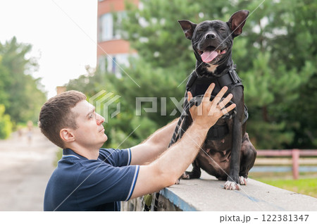 Caucasian man walking with a pitbull terrier dog.  122381347