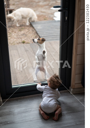 The dog stands at the patio window and asks to go inside the house to the baby boy. The dog stands at the patio window and asks to go inside the house to the baby boy. 122381430