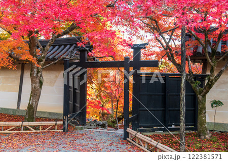 Gate landmark with fall maple leaf at Nisonin Temple, Arashiyama 122381571
