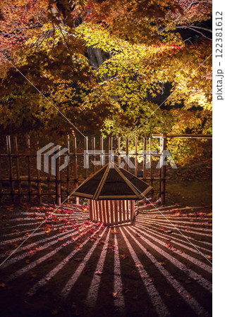light through lantern and colorful maple leaves, Hogonin temple light through lantern and colorful maple leaves, Hogonin temple 122381612